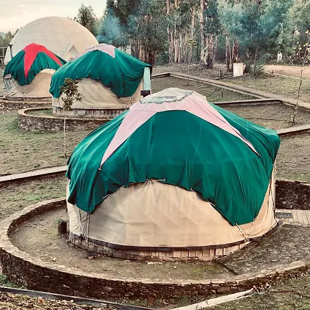 مزرعة للإقامة Quinta De Sao Jose Dos Montes Ferreira do Zêzere