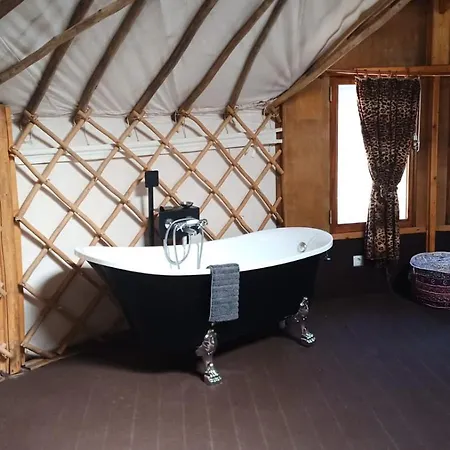 ファームステイ Quinta De Sao Jose Dos Montes