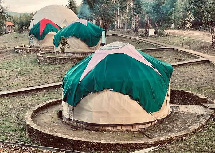 Farm stay Quinta De Sao Jose Dos Montes Ferreira do Zezere